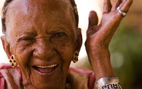 Image result for Nicolasia costata