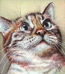 See more ideas about animal paintings, animal art, pet portraits. Cute Animal Paintings Fine Art America