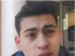 Malik Sanchez, Teen 'Incel' Busted for Threatening to Bomb New York City  Restaurant