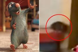 Ratatouille is available to stream on disney+. Real Life Remy From Ratatouille Caught Helping Himself To Condiments As Shocked Diners Look On Uk News Newslocker