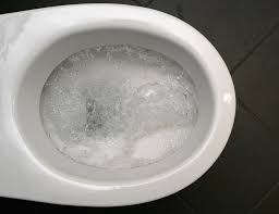 Try to fit the plunger's head into the toilet sink's hole, plunge 10 times. Here S Why Your Toilet Gurgles And Spews When It Rains