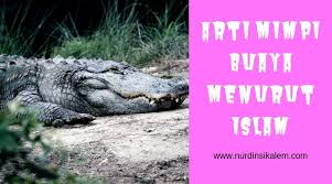 Karena kejar mimpi movement percaya bahwa setiap mimpi bisa terealisasi ketika kita saling membantu dalam mengejar mimpi tersebut. Arti Mimpi Tentang Buaya Menurut Islam Terlengkap Blog Nurdin Sikalem