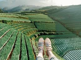 Serotonin On Twitter Lokasi Nampan Kajoran Magelang Jawa Tengah