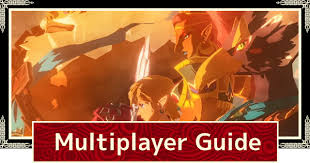 Once a challenge mode has started, characters can no longer change specializations, talents, or glyphs. Multiplayer 2 Player Mode How To Online Local Co Op Hyrule Warriors Age Of