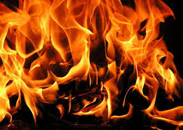 Find the best free stock images about fire background. Free Fire Wallpapers Wallpaper Cave