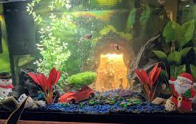 From large fish tank ornaments to small fish tank decorations, accessories can help add visual appeal and soothing effects. Christmas Fish Tank Decor Fish Tank Decorations Fish Tank Christmas