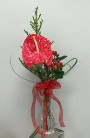 Anthurium Bud Vase By Stephanie Green Flower Arrangements Macrame Plant Hanger Bud Vases