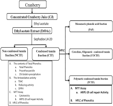 flow chart or schematic representation of the current study