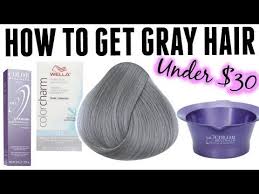 How To Silver Hair With Ion Titanium Dye Youtube Silver Hair Color Grey Hair Tutorial Silver Hair Dye