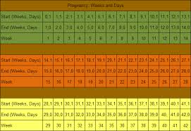 How Long Is Pregnancy Days Weeks Months Trimesters