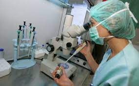 Maybe you would like to learn more about one of these? Live Video Cum Pot Beneficia De O Procedura De Fertilizare Gratuita In Vitro In Baza Politei De Asigurare Medicala Cuplurile Infertile