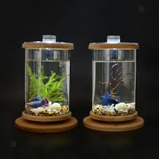 Submitted 2 years ago by _flowers99_. Desktop Decor Small Tank Cylinder Aquarium Terrarium For Goldfish Betta Ebay