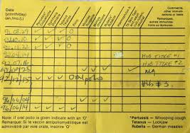 Before administering any vaccines, give the patient copies of all pertinent vaccine information statements (viss) and make sure he/she understands the risks and benefits of the vaccine(s). Vaccines And The Honour System Jane Langille