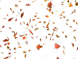 Falling Leaves Stock Photos Royalty Free Falling Leaves Images Leaf Images Fall Leaves Png Autumn Leaves Discover 325 free autumn leaves png images with transparent backgrounds. fall leaves png
