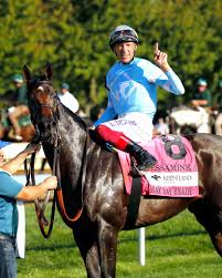 The Pressbox's" Feel Good Photo of the Day: Lori Hebel-Osborne & Diamond  Solitaire