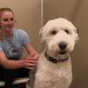 Highly recommend emma at wagging tails for both the home boarding and dog walking service. 1