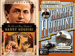 WILD ABOUT HARRY: The Brandon book