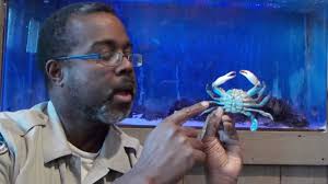 York River State Park's Ranger John Gresham is making some cool videos to  watch...here are the first three!