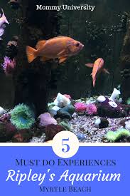 Ripley'S Aquarium Of Canada