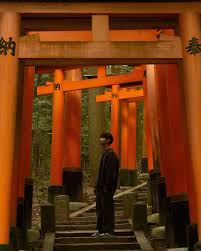 Steven Ta (@_stvn_t) • Instagram photos and videos