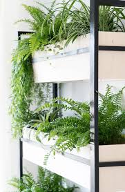 Mit einem klick sicher gekauft! Diy Vertical Garden Aus Multiplex Schwarz Lackierten Leisten Soul Follows Design Pflanzenregale Pflanzenwand Pflanzen