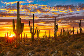 Sunset In Sonoran Desert, Near Phoenix. Stock Photo, Picture And Royalty  Free Image. Image 93325930.
