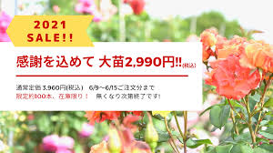 篠宮バラ園