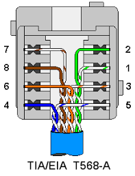 Place all 8 wires into the 110 style connector of the patch panel in the patch panel outlet that is used to receive the incoming cables. Terminating Wall Plates Wiring