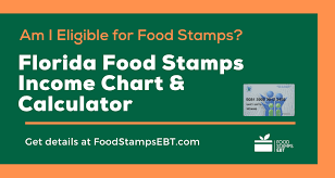 The access florida system allows customers to connect with their public assistance information 24/7, through the online application and myaccess account. Florida Food Stamps Eligibility Guide Food Stamps Ebt