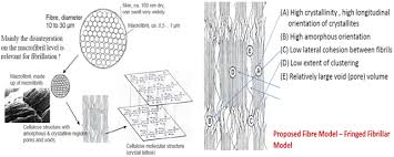 Diagram Of Lyocell Fibre Microscopic Structure In 2020 Lyocell Diagram Fiber