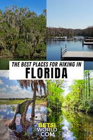 The Best Places For Hiking In Florida Betsi S World Hiking In Florida Florida Travel Hiking Trip
