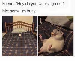 Dopl3r Com Memes Friend Hey Do You Wanna Go Out Me Sorry Im Busy