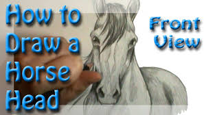 Thanks for watching our channel. How To Draw A Horse Head Front View Draw A Horse Horse Face Drawing How To Draw A Horse Head