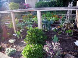 When choosing to alter any landscape one should first take in account the natural systems at work. Edible Front Yard Edible Landscaping Made Easy With Avis Licht