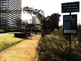 Because hundreds of babies were taken from the disappeared and raised by military families, las madres de la plaza de mayo also helped reunite. Jardin De Las Madres Y Abuelas De Plaza De Mayo Wikipedia La Enciclopedia Libre