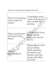 Live worksheets > english > science > cells. Flash Cards Photosynthesis Respiration Esl Worksheet By Tfloria