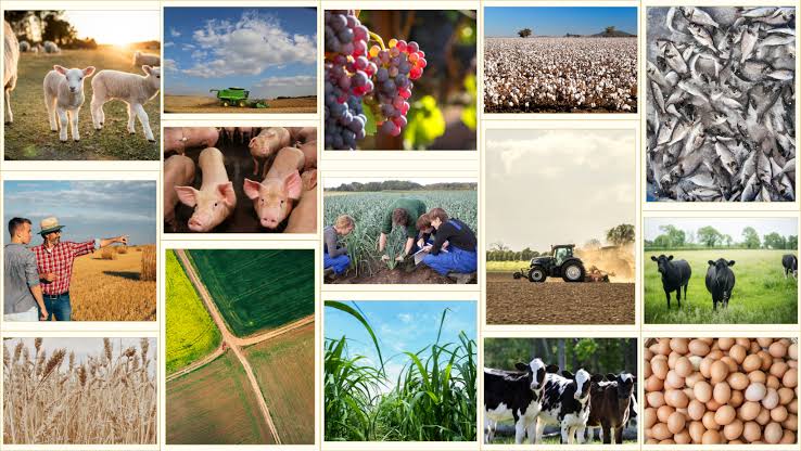 प्राथमिक क्रियाएं - 11वीं भूगोल नोट्स