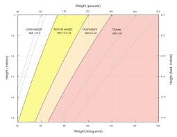 The bmi is defined as the body mass divided by the square of the body height. Body Mass Index Wikipedia