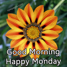 Pemberton's flowers is your local salem florist. 50 Good Morning Monday Blessings Images Free Download