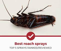 top 5 best roach sprays 2020