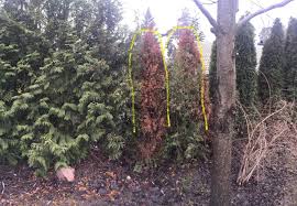 Image result for site:byggahus.se oseriösa