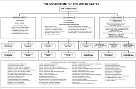 usg organizational chart teaching government branches of