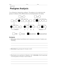 A person without any magical abilities is also known as a muggle. Pedigree