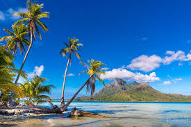 Prices and availability are subject to change. Bora Bora The Polynesian Romantic Paradise Shootplanet