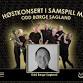 Høstkonsert i Samspill med Odd Børge Sagland event image
