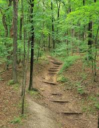 It is located near the city of grafton, illinois, at the confluence of the mississippi river and the illinois river. Pere Marquette State Park State Parks Camping Locations Road Trip Camping