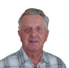 Contributions to the tribute of Leo Van Loy