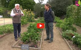 Fourneret matriel de jardin with le bon coin 40 jardinage. Newsjardintv Infos Conseils Videos Podcasts 100 Nature