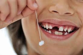 Shareably Kids Teeth Loose Tooth Baby Teeth