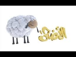 تعليم ذبح خروف العيد اللطمة ههههههههه Place Card Holders Place Cards Cards